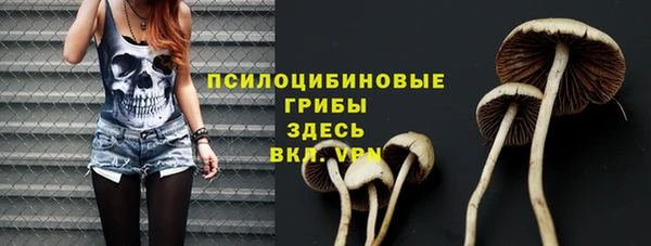 эйфоретик Арсеньев