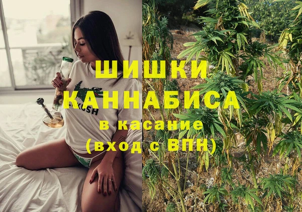 эйфоретик Арсеньев