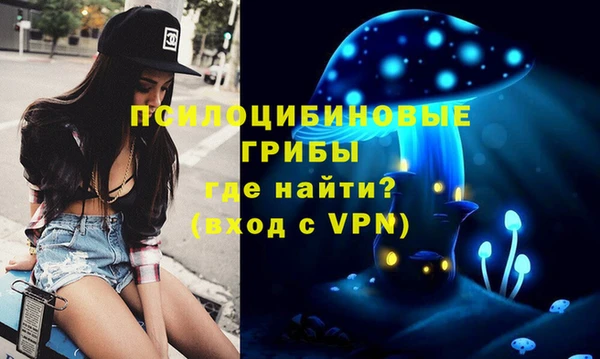 PSILOCYBIN Аркадак