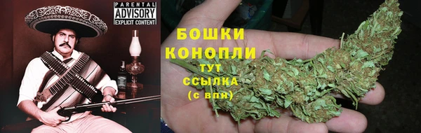 PSILOCYBIN Аркадак
