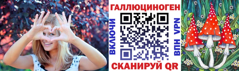Псилоцибиновые грибы Psilocybine cubensis  Электросталь 